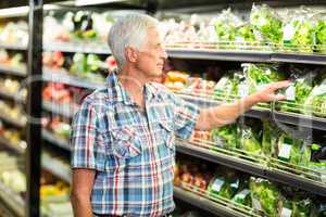 Senior man picking out salad