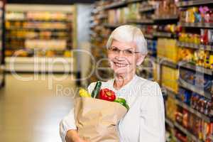 Portrait of smiling senior woman with grocery bag