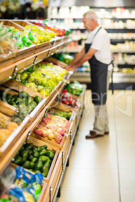 Senior male worker stocking the vegetables