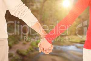 Composite image of couple holding hands rear view