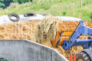 Silage