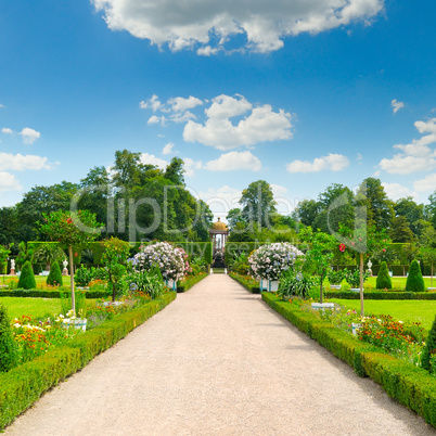 summer park with beautiful flowerbeds