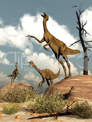 Gallimimus dinosaurs - 3D render