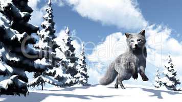 White fox - 3D render