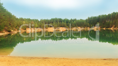 lake in the forest