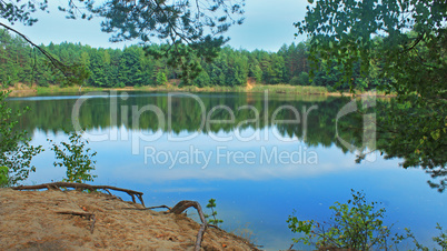 lake in the forest