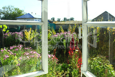 opened window to the summer garden in the village