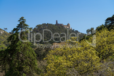 Pena National Palace