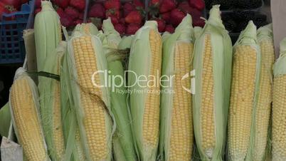 Corn is sold at the Bazaar