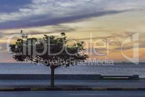 Sunset Scene at Boardwalk in Montevideo Uruguay