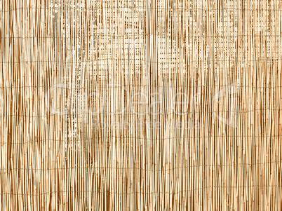 Bamboo background vintage