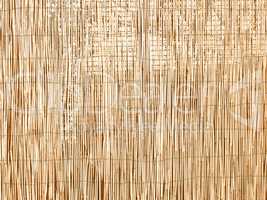 Bamboo background vintage