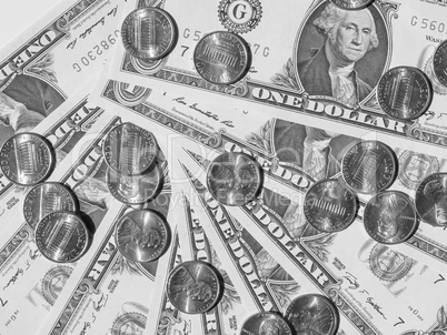 Black and white Dollar coins and notes Black and white Dollar coins and notes