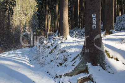 Olitätenwanderweg Symbole Schwarzatal