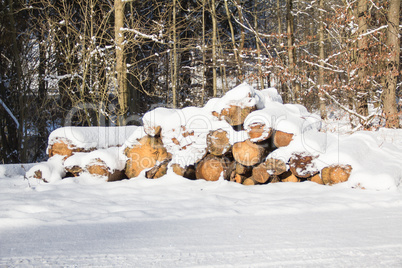 Holzstapel im Winter_02