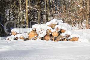 Holzstapel im Winter_02