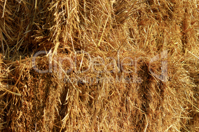 straw stacked in bales
