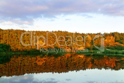 beautiful landscape with river and autumn forest