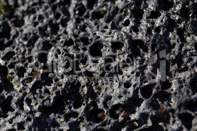 Closeup of volcanic stone