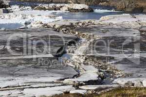 Glacial ice float away on a river bank, Iceland