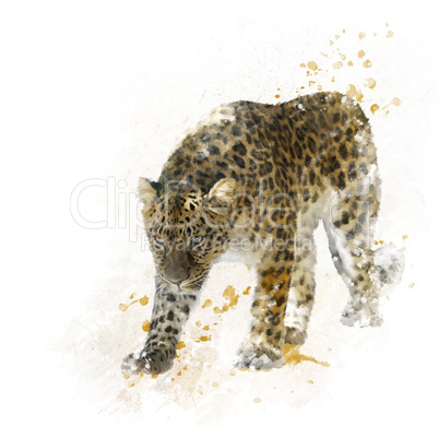 Digital Painting of  Leopard