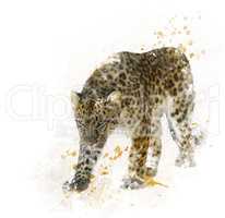 Digital Painting of  Leopard