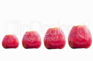Rote Äpfel  in verschiedenen Größen