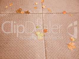 Retro looking Leaves on pavement