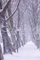 Alley in snowy a day