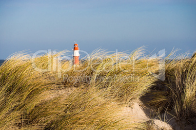 Düne in Warnemünde an der Ostseeküste