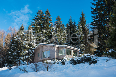 Haus mit Wald im Winter