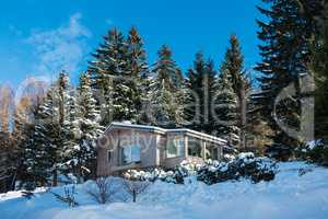 Haus mit Wald im Winter