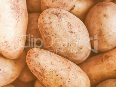 Retro looking Potato vegetable