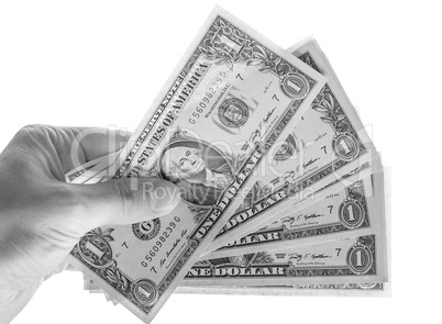 Black and white Dollar notes  isolated