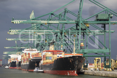 Containerschiff an einem Containerterminal  im Hafen von Antwerp