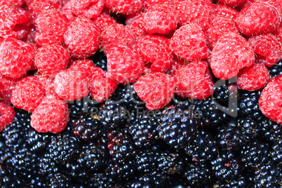 blackberry and raspberry