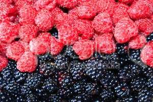 blackberry and raspberry