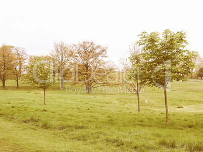 Primrose Hill London vintage