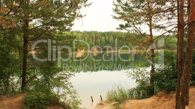 beautiful lake in the forest