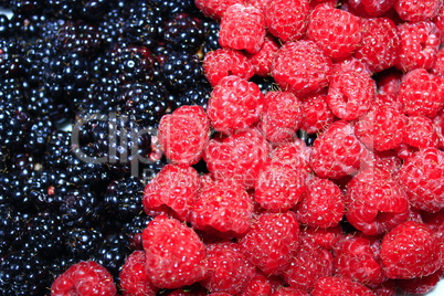 blackberry and raspberry