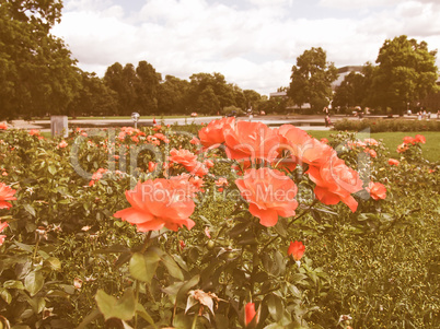 Gardens in Stuttgart Germany vintage