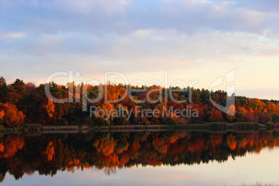 landscape with river and autumn colored forest