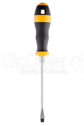 Screwdriver isolated