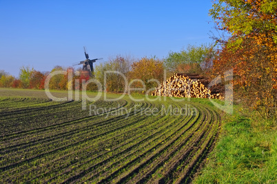 Grossraeschen Windmuehle - Grossraeschen Windmill 01