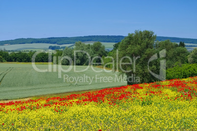 Harzvorland - landscape in Harz Mountains