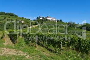 Rosazzo Abtei - Rosazzo Abbey 03