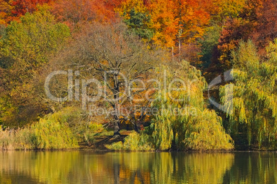 Spremberg Schwanenteich - Spremberg lake in fall