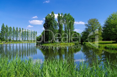 Woerlitzer Park Rousseau Insel - English Grounds of Woerlitz Rousseau island 05