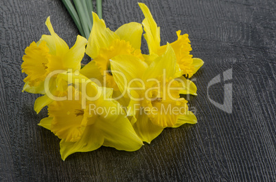 Yellow jonquil flowers