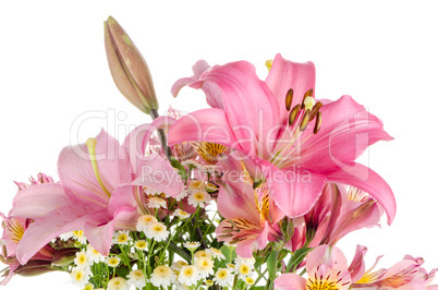 Pink lilies